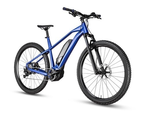 E-Mountainbikes kaufen und komfortabel ans gewünschte Ziel kommen